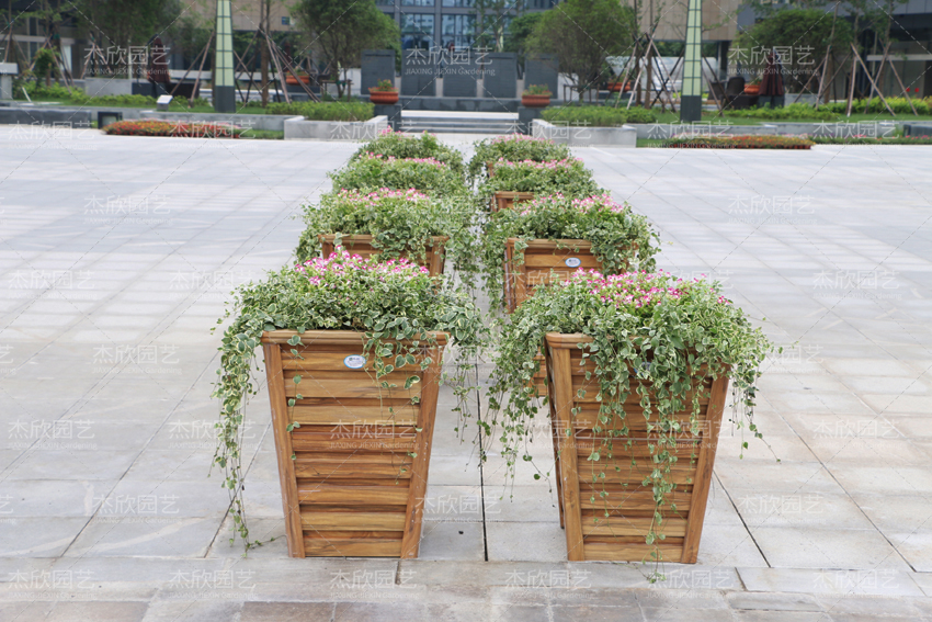 这三种花箱，才能做到免维护，你选对了吗？