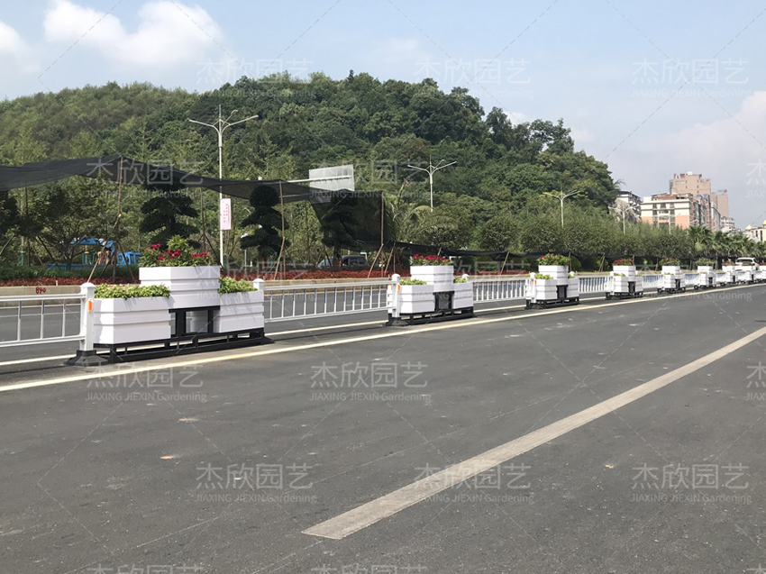 花箱价格，值得好好研究