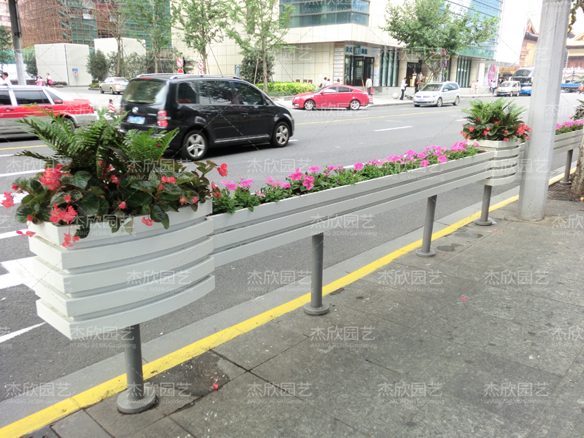 花箱适合种什么植物？