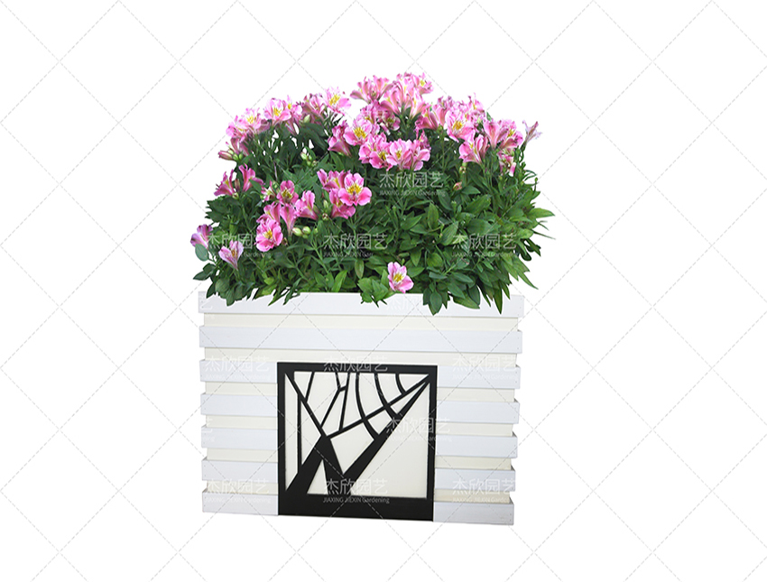 组合花箱中有哪些创意款式？