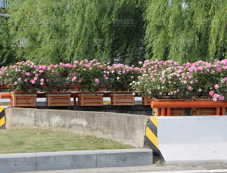 不锈钢花箱有哪些功能？